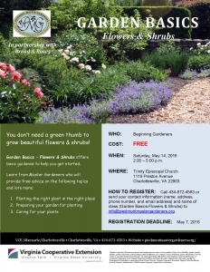 GardenBasics_Flowers-Shrubs_12Apr2016_V2.2