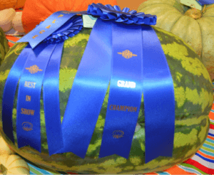 Anne Dickie's 2015 Grand Champion Blue Ribbon watermelon