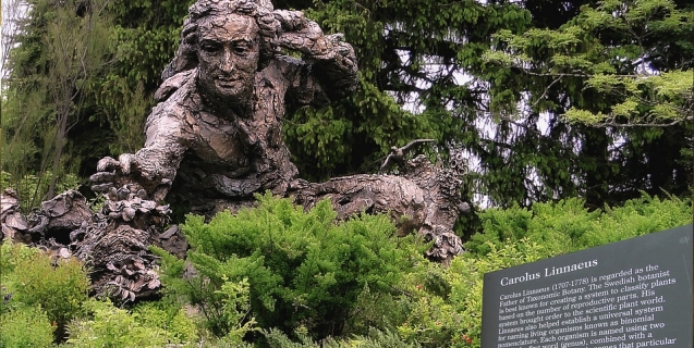 Linnaeus in Your Garden