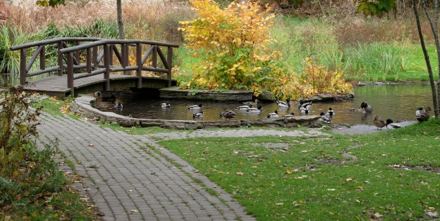 The Ornamental Garden in November