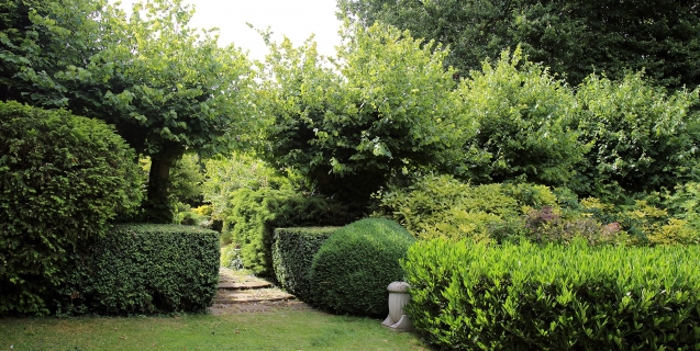 Hedging Our Landscaping Bets