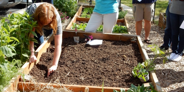 Coming Soon:  Garden Basics Classes & Spring Lecture Series