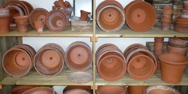 Learning from Marie Kondo: Tidying Magic for Gardeners