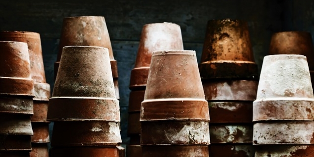 In the Vegetable Garden- January