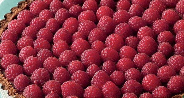 Chocolate Tart With Raspberries
