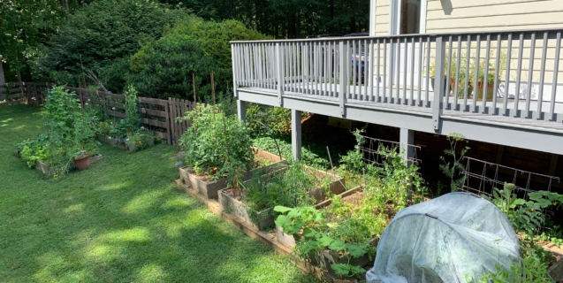 August in the Edible Garden