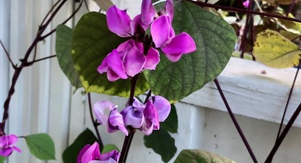 The September To-Do List