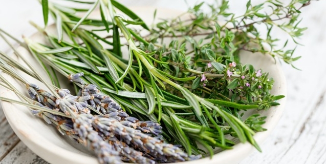 Using Culinary Herbs