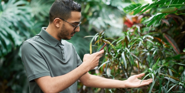 Online Resources for Ornamental Gardeners