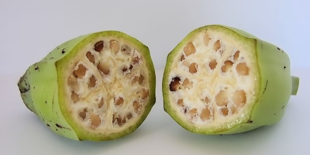 Seedless Fruits and Vegetables. How Does That Happen?