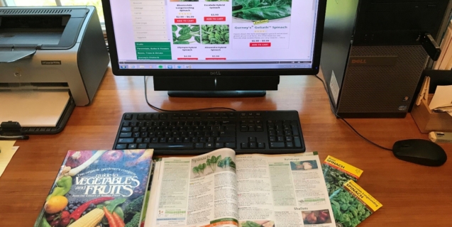 February in the Edible Garden