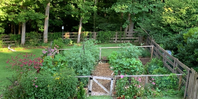 August In The Edible Garden