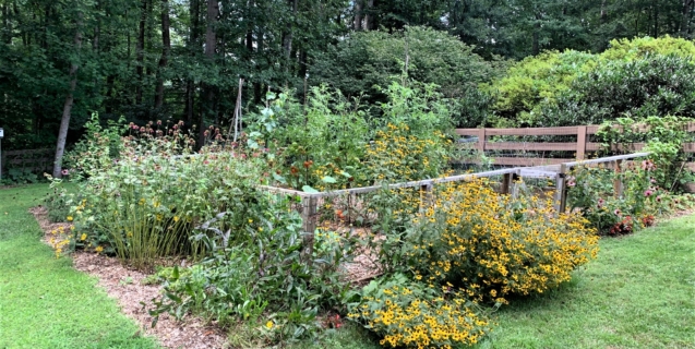 September in the Edible Garden