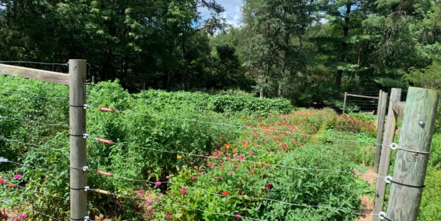 An Amazing Master Gardeners’ Garden