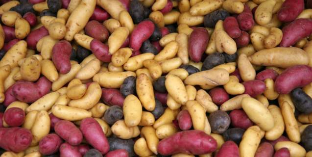 How to Grow Potatoes