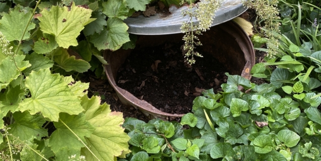 Home Composting Solutions For Virtually Everyone