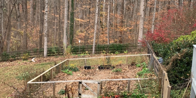 The Edible Garden in December