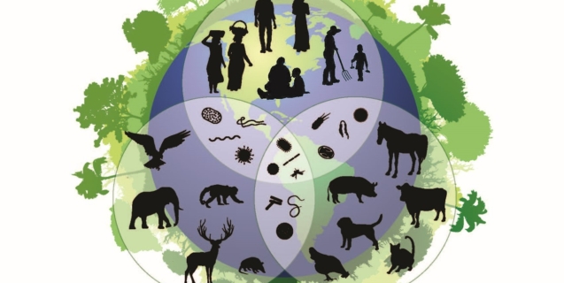 Biodiversity: Its Meaning, Importance and How Home Gardeners can Help Restore It