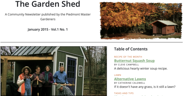 Celebrating The Garden Shed Newsletter’s 100th Issue