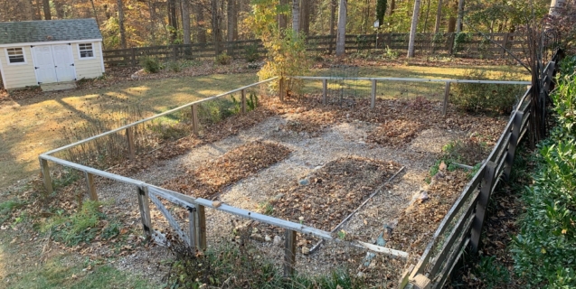 The Edible Garden in December