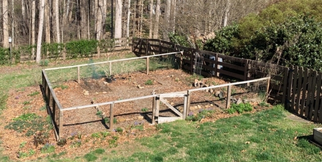 The Edible Garden in March