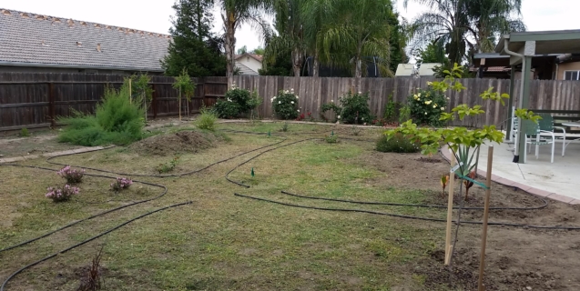 Drip Irrigation Systems for Home Gardens