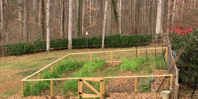 The Edible Garden in December